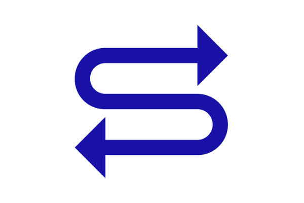 Surveyor Sorted logo